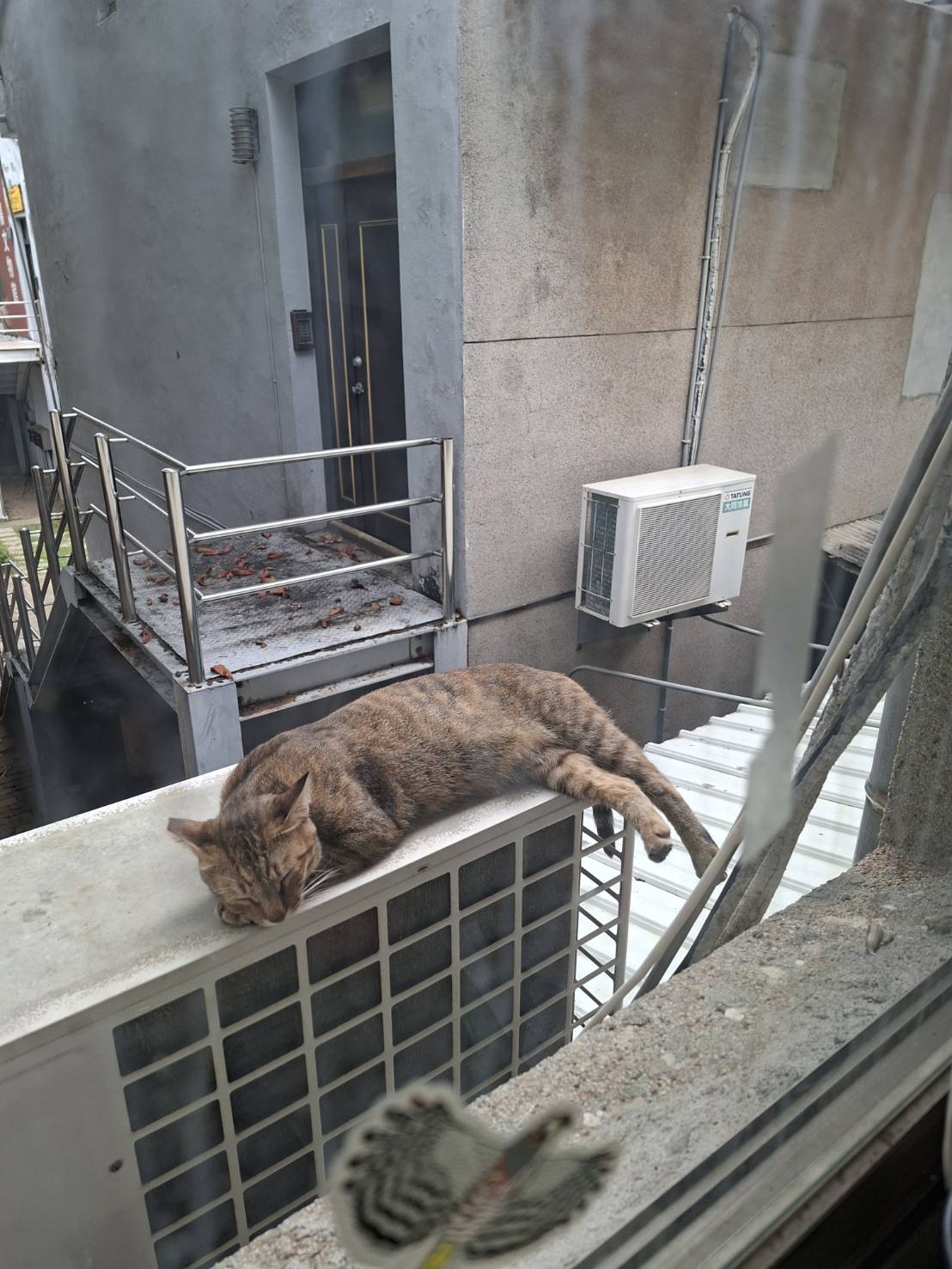 今日黃總